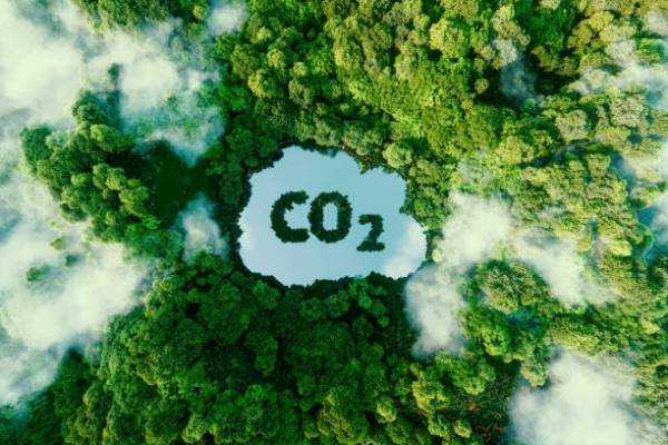 Online Course Certified Carbon Reduction Specialist